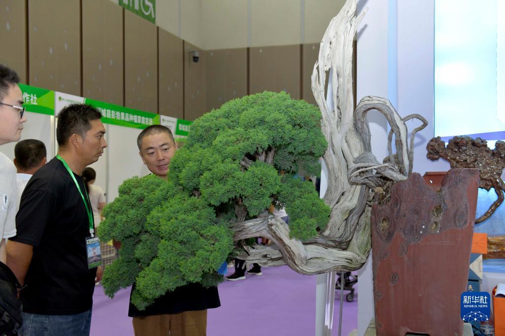 尊亿娱乐登录